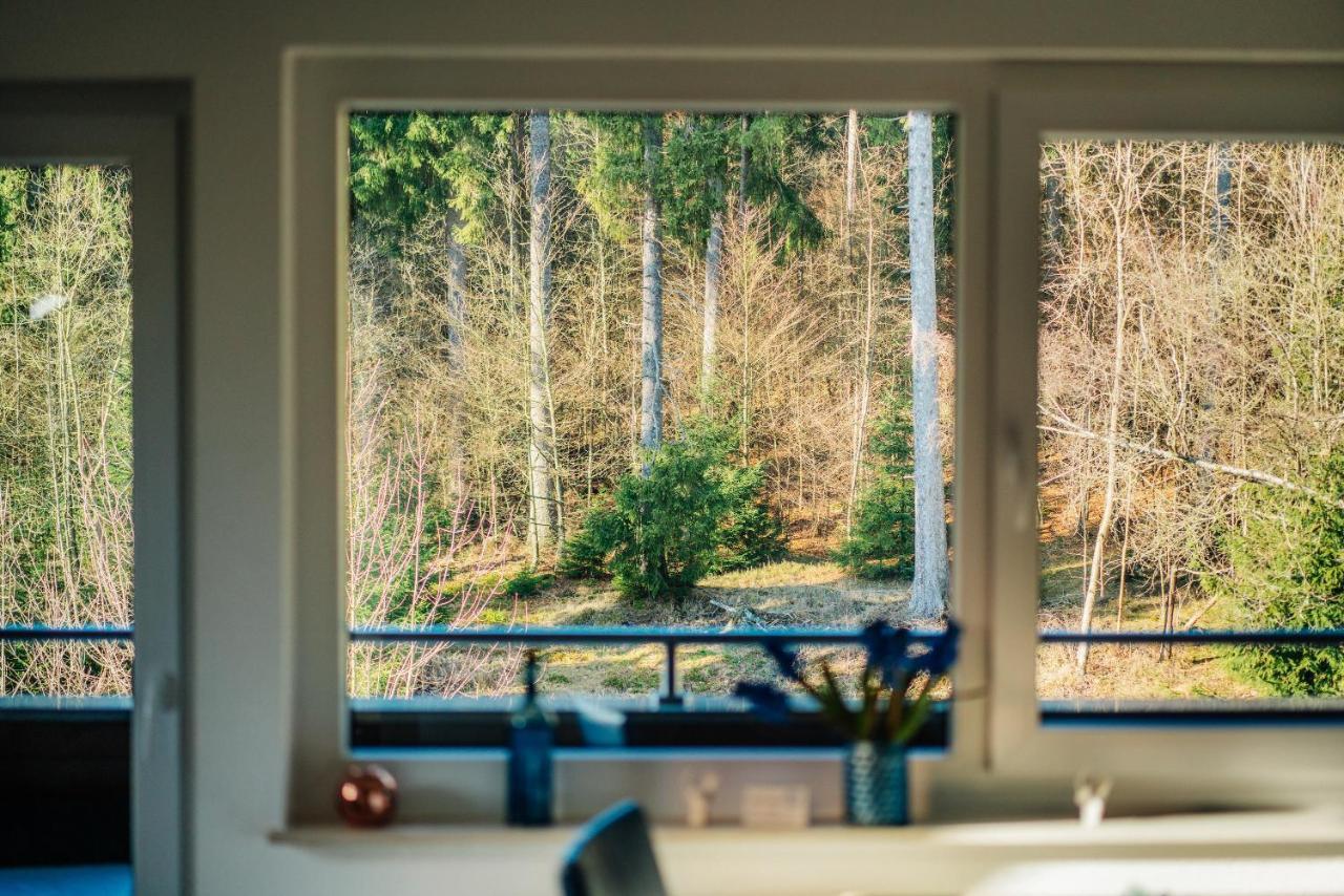 Ferienwohnung Kiefer Braunlage Exteriör bild