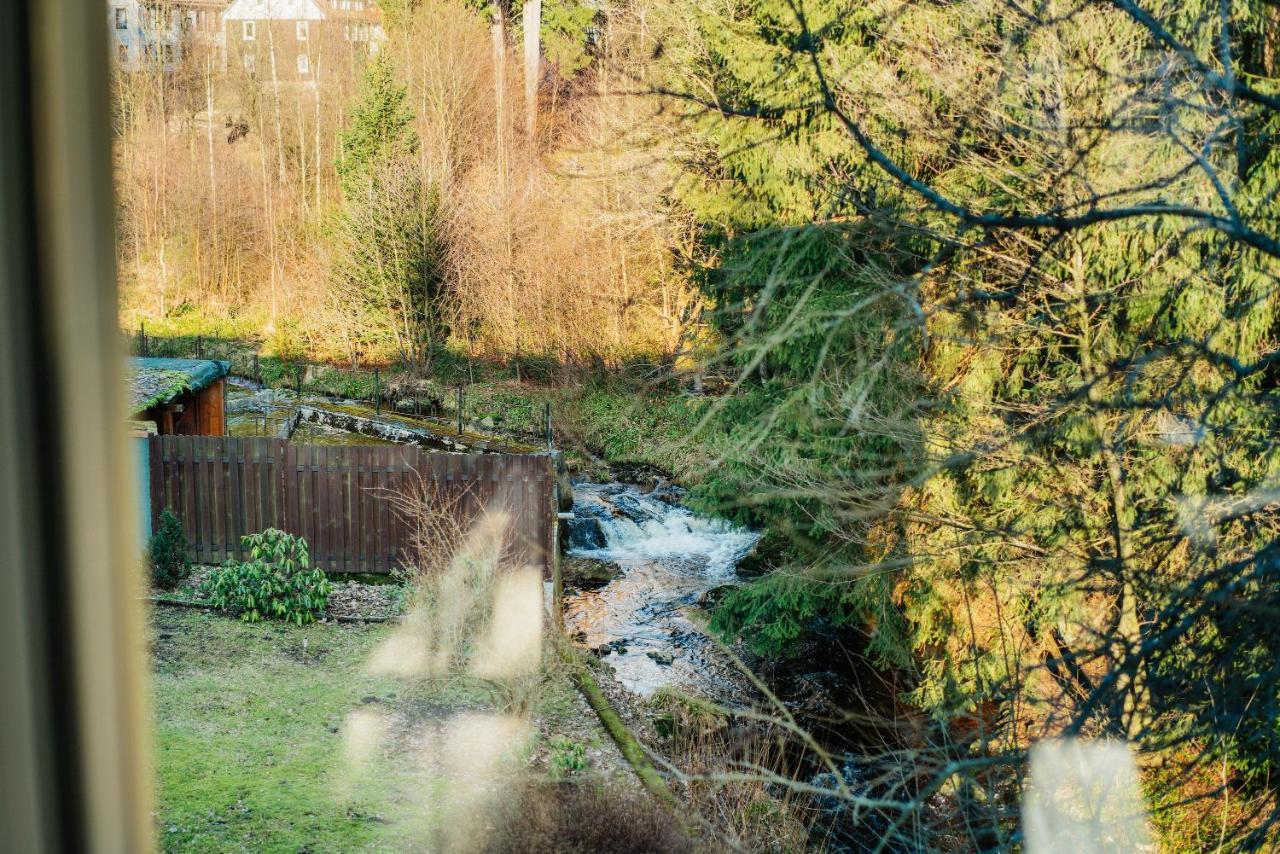 Ferienwohnung Kiefer Braunlage Exteriör bild